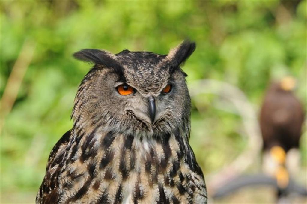 Buitengoed De Panoven Zevenaar Zewnętrze zdjęcie